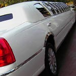 Orlando's Premium Transportation Service